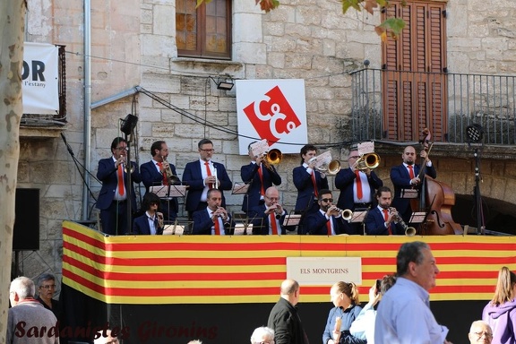 banyoles 40