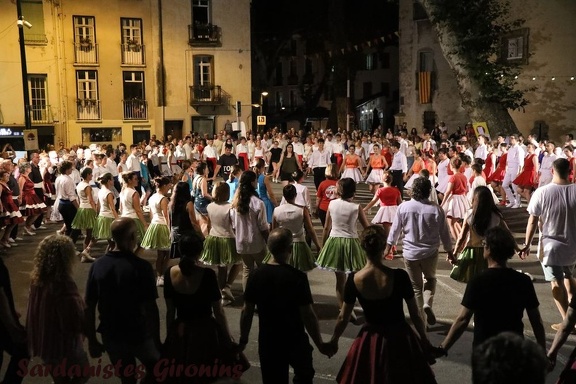 2025 ceret 231