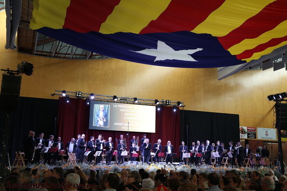 2024 banyoles 281 (489 visites) 2024 banyoles 281
