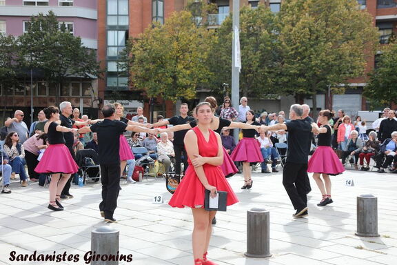 2024 gerone 250