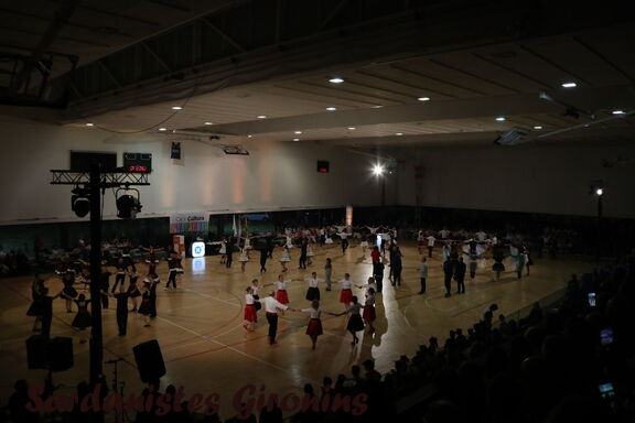 2025 olot sardanes 02