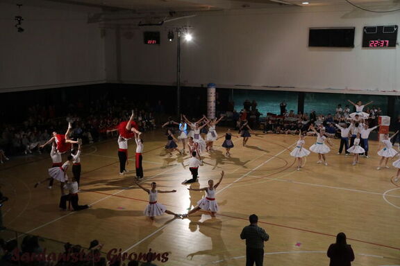 2025 olot sardanes 233